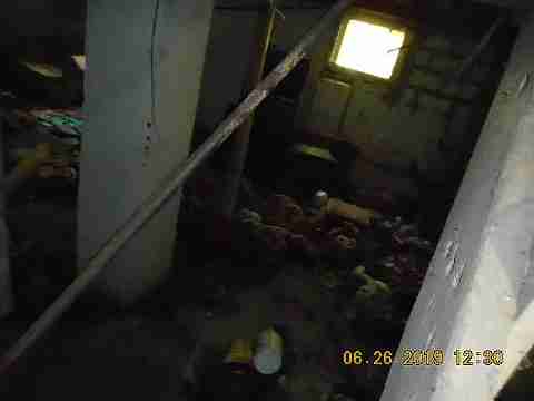 20103 Cardoni (24)_m.jpg